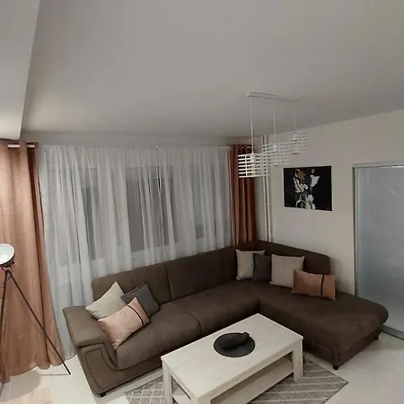 23 * 贝尔格莱德