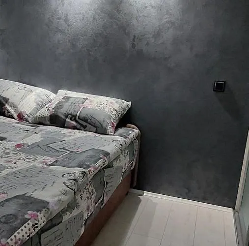 23 * 베오그라드